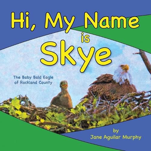 Cover image for Hi, My Name is Skye