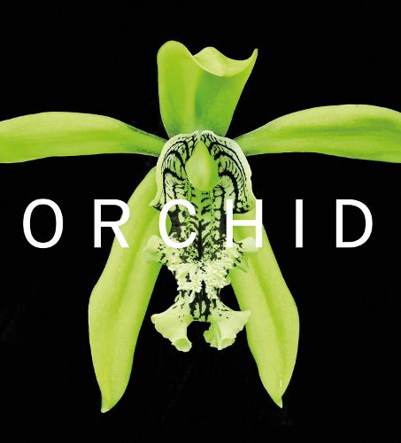 Cover image for ORCHID