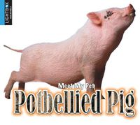 Cover image for Potbellied Pig