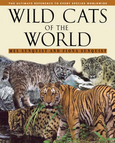 Cover image for Wild Cats of the World