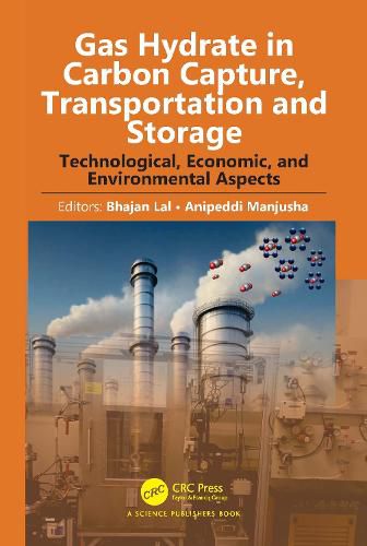 Cover image for Gas Hydrate in Carbon Capture, Transportation and Storage