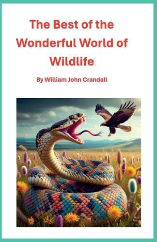 Cover image for The Best of the Wonderful World of Wildlife