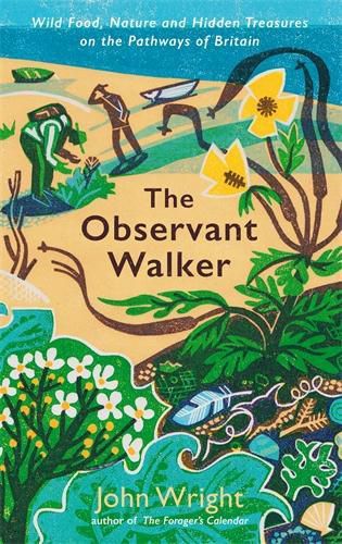 Cover image for The Observant Walker: Wild Food, Nature and Hidden Treasures on the Pathways of Britain