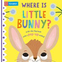 Cover image for Where is Little Bunny?