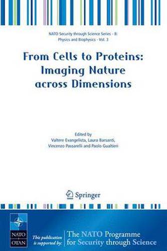 Cover image for From Cells to Proteins: Imaging Nature across Dimensions: Proceedings of the NATO Advanced Study Institute, held in Pisa, Italy, 12-23 September 2004