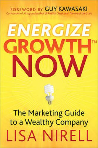 Energize Growth NOW: The Marketing Guide to a Wealthy Company