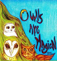 Cover image for Owls Are Magical