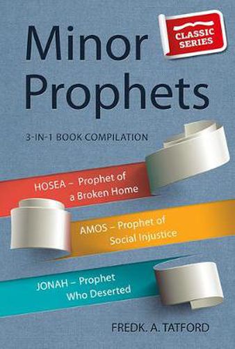 Cover image for Minor Prophets - Book 2