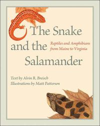 Cover image for The Snake and the Salamander: Reptiles and Amphibians from Maine to Virginia