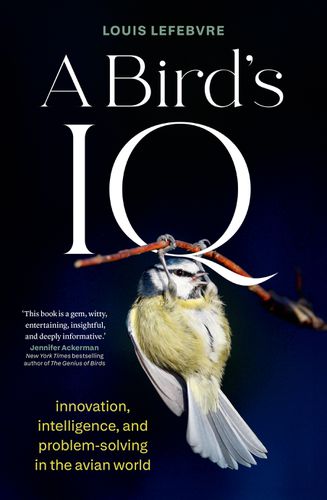 Cover image for A Bird's IQ
