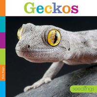 Cover image for Seedlings: Geckos