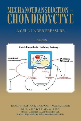 Mechanotransduction - Chondroyctye: A Cell Under Pressure