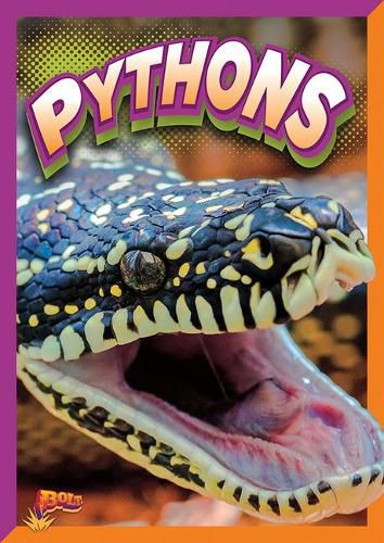 Cover image for Pythons