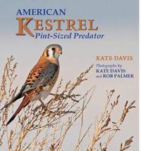 Cover image for American Kestrel