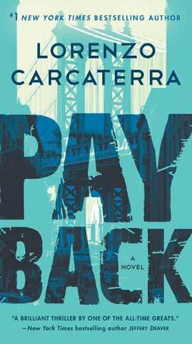 Cover image for Payback: A Novel