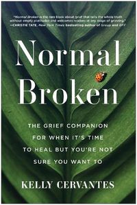 Cover image for Normal Broken