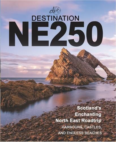 Cover image for Destination NE250