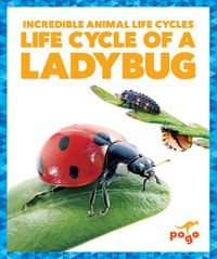 Cover image for Life Cycle of a Ladybug