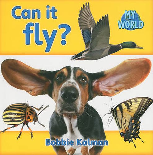 Cover image for Can it fly?