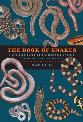 The Book of Snakes: A Life-Size Guide to Six Hundred Species from Around the World