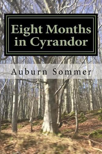 Cover image for Eight Months in Cyrandor