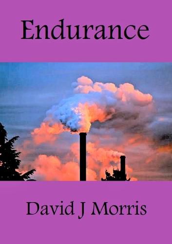 Cover image for Endurance