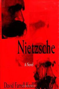 Cover image for Nietzsche: A Novel