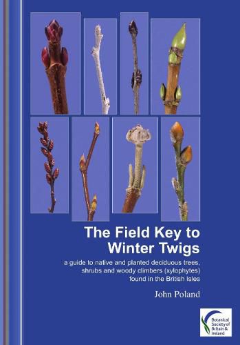 Cover image for The Field Key to Winter Twigs: A Guide to Native and Planted Deciduous Trees, Shrubs and Woody Climbers (Xylophytes)