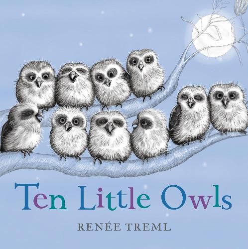 Cover image for Ten Little Owls