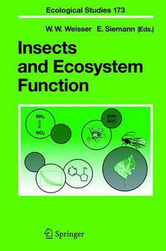 Cover image for Insects and Ecosystem Function