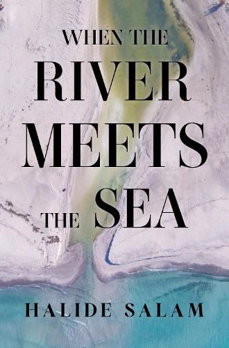 Cover image for When the River Meets the Sea