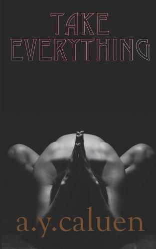 Cover image for Take Everything