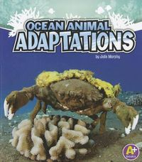 Cover image for Ocean Animal Adaptations (Amazing Animal Adaptations)