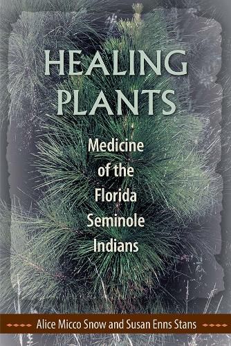 Cover image for Healing Plants: Medicine of the Florida Seminole Indians