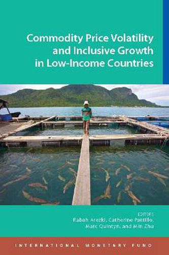 Commodity price volatility and inclusive growth in low-income countries