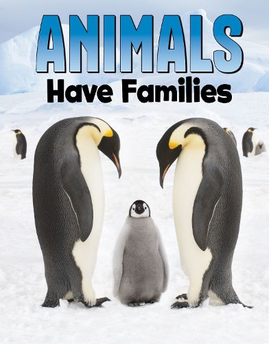 Cover image for Animals Have Families