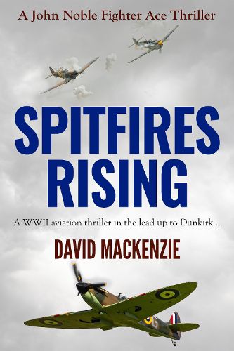 Cover image for Spitfires Rising