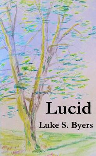 Cover image for Lucid