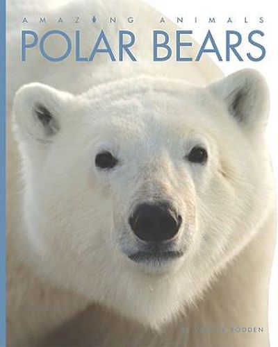 Cover image for Polar Bears