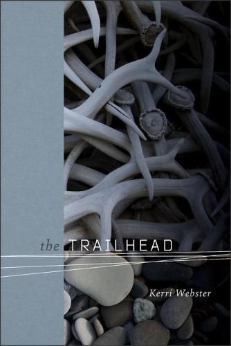 Cover image for The Trailhead