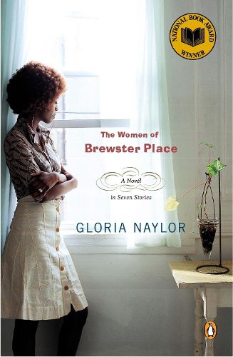 Cover image for The Women of Brewster Place