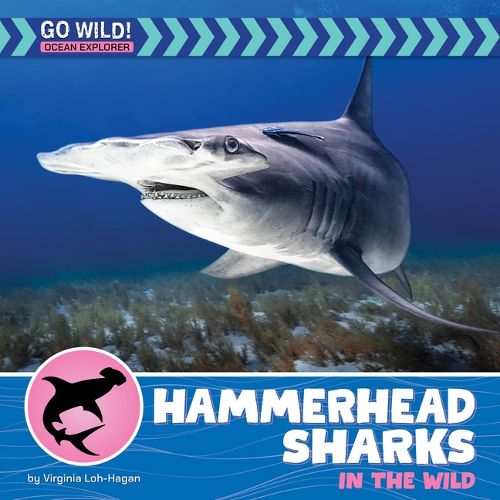 Cover image for Hammerhead Sharks in the Wild