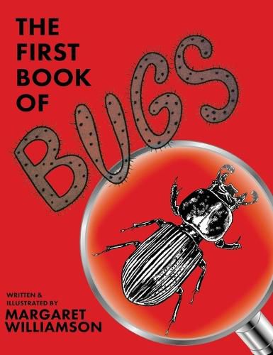 Cover image for The First Book of Bugs