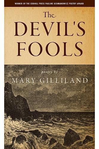 Cover image for The Devil's Fools