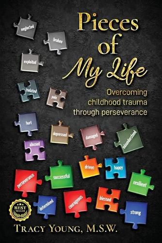 Cover image for Pieces of My Life: Overcoming Childhood Trauma Through Perseverance