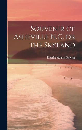 Cover image for Souvenir of Asheville N.C. or the Skyland