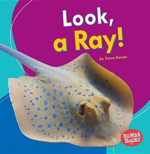 Cover image for Look a Ray