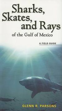 Cover image for Sharks, Skates, and Rays of the Gulf of Mexico: A Field Guide