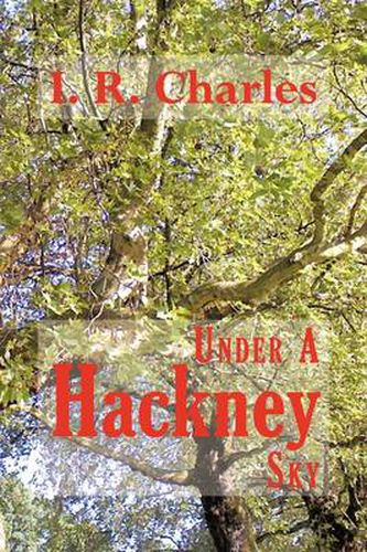 Cover image for Under a Hackney Sky