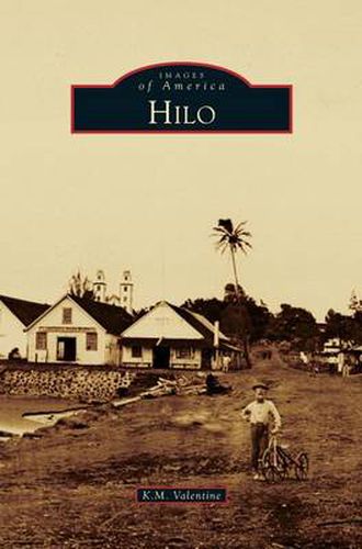 Cover image for Hilo